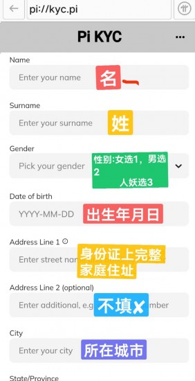 派币kyc认证最新教程图解 派币kyc认证流程视频中文09