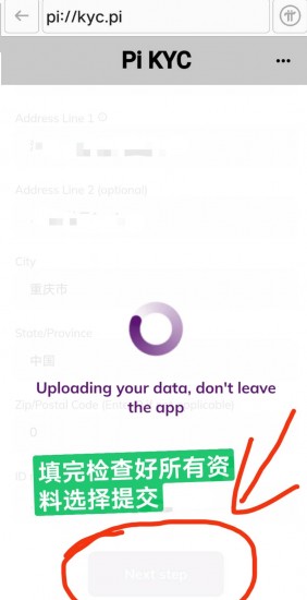 派币kyc认证最新教程图解 派币kyc认证流程视频中文11