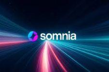 什么是Somnia？Somnia 有代币和空投计划吗？
