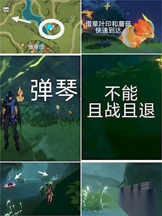 原神须弥容易漏掉的宝箱 | 原神须弥宝箱全收集