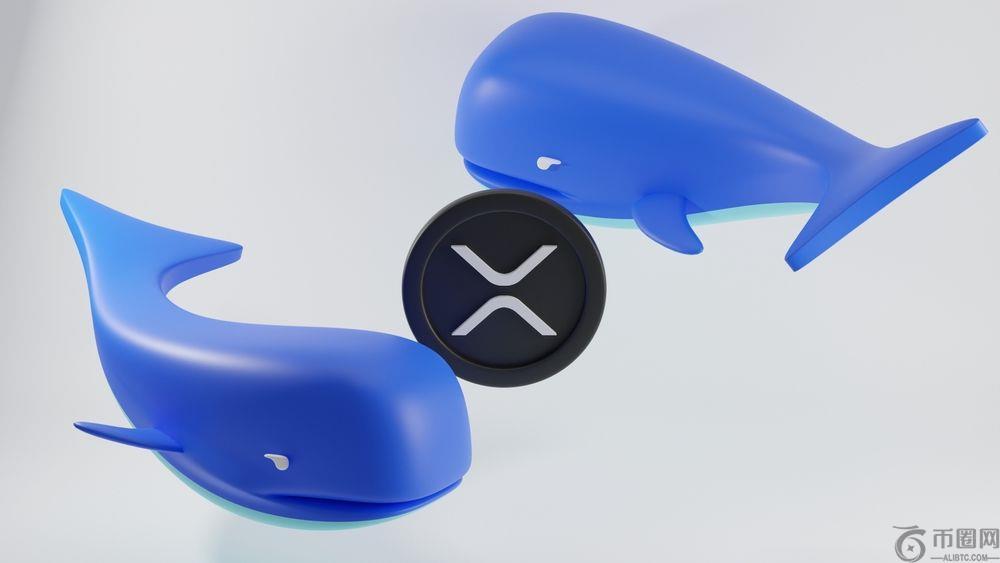 鲸鱼逢低买入——XRP 有望为实时 SWIFT 结算提供支持