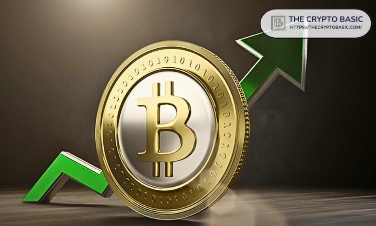 罕见的比特币牛市信号即将激活；分析师称其从未失败
