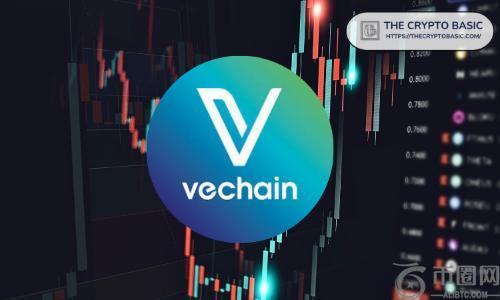 Michaël van de Poppe 对唯链 (VeChain) 表示看好：大突破即将到来，积累或成关键
