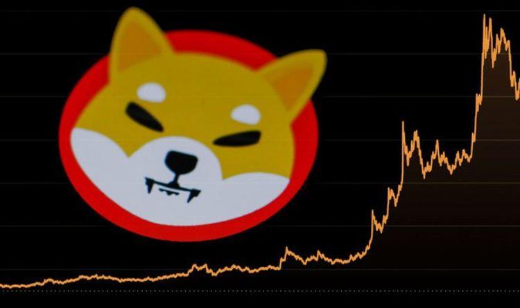 柴犬飙升：资深投资者预测涨幅 17 倍至 0.00023 美元