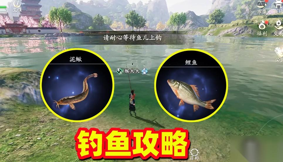 天刀厨师升级攻略