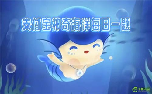 蚂蚁森林神奇海洋2025年7月29日答案