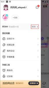 妈妈网孕育如何切换备孕模式