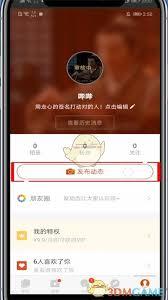探探如何查看动态