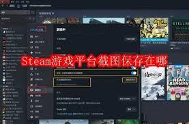 Steam游戏平台截图保存位置在哪