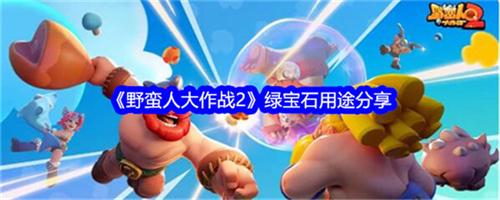 野蛮人大作战2绿宝石是干吗的 野蛮人大作战2绿宝石主要作用大全