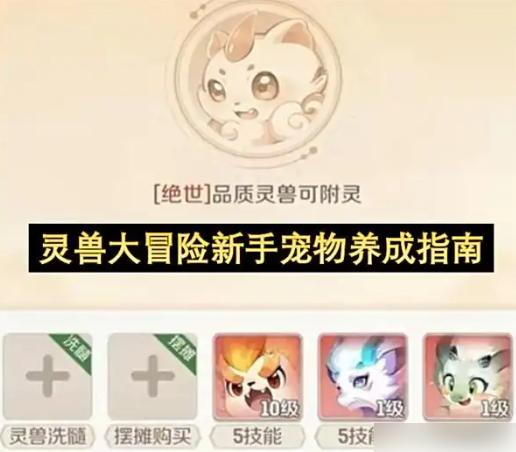 灵兽大冒险攻略图文 灵兽大冒险新手宠物养成指南