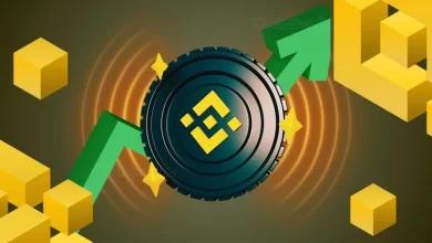 BNB 价格预测：CryptoQuant 预测 BNB 将达到 1,000 美元