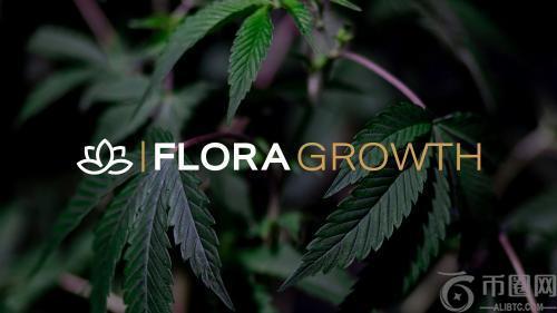 大麻生产商 Flora Growth 完成 4.01 亿美元融资，转型 ZeroStack 进军区块链与人工智能领域