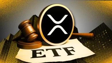 新的 XRP ETF 文件警告鲸鱼操纵风险