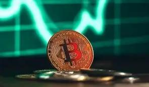 安东尼·庞普里亚诺表示，比特币正在成为世界的新基准