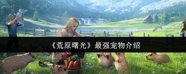 荒原曙光 最强宠物介绍