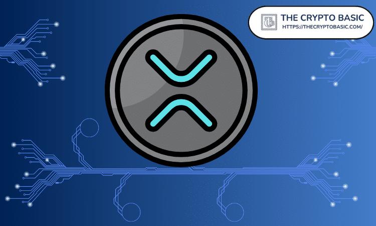 专家建议 XRP 投资者应避免以下 8 件事