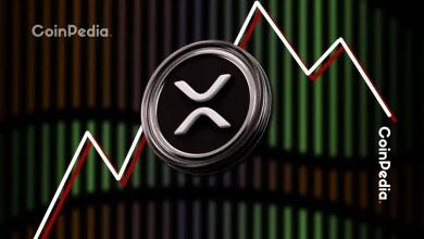 巨鲸在 24 小时内积累了 3000 万 XRP，瑞波币价格预测