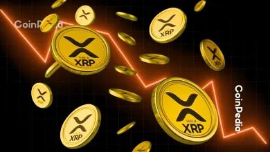 Ripple 新闻：XRP 主导 CME 第三季度加密货币活动