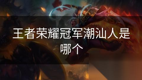 王者荣耀冠军潮汕人是哪个