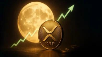 加密货币交易员 James Wynn 押注 2.5 万美元购买 XRP，寻求社区建议