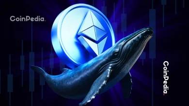 以太坊ICO巨鲸时隔8年转移价值600万美元的ETH
