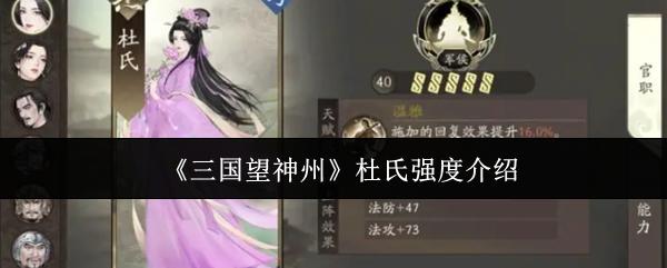 三国望神州 杜氏强度介绍