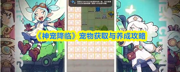 神宠降临 宠物获取与养成攻略