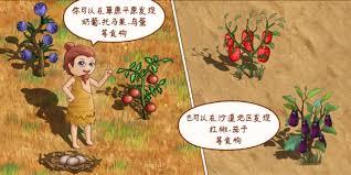 村落人生如何把肉做成熟食