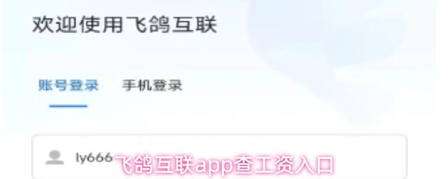 飞鸽互联app查工资入口