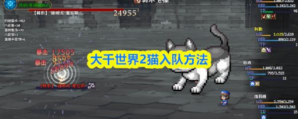 大千世界2猫入队方法