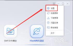 Flash中心如何设置成中文
