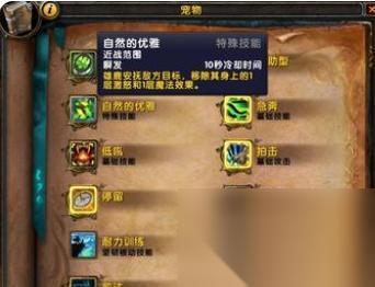 魔兽手法技能在哪里练习