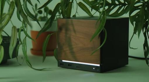 Steam主机可以装Windows系统吗