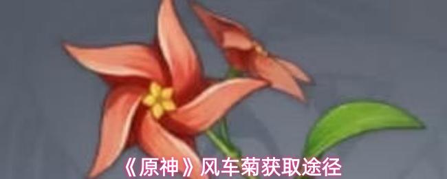 原神 风车菊获取途径