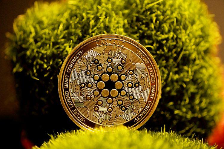 比特币分析师称：别看讣告了——Cardano 依然存在