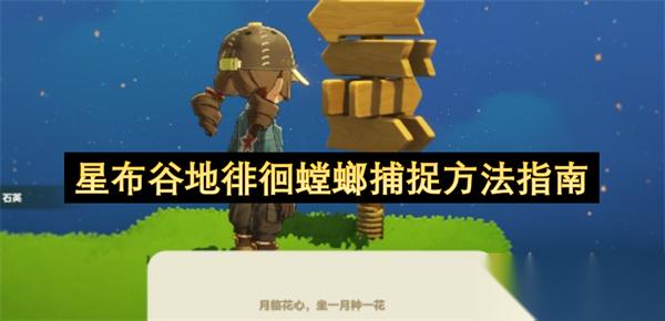 星布谷地徘徊螳螂捕捉方法指南