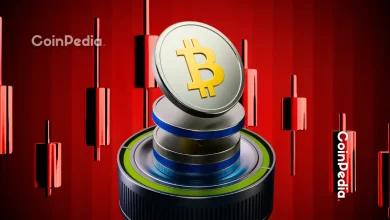 11月比特币下跌24%，山寨币表现坚挺。