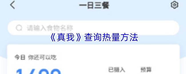 真我 查询热量方法