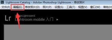 Lightroom如何设置自动放弃1:1预览