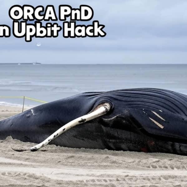 ORCA 对 Upbit 加密货币黑客攻击进行拉高出货：暂停交易后反弹