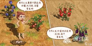 村落人生竹篮如何获取