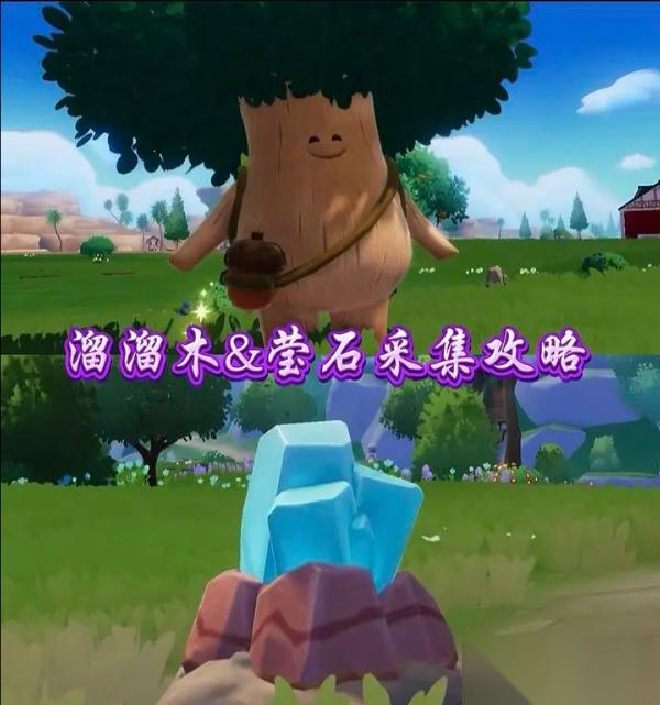 12月1日心动小镇溜溜橡木和无暇荧石在哪里