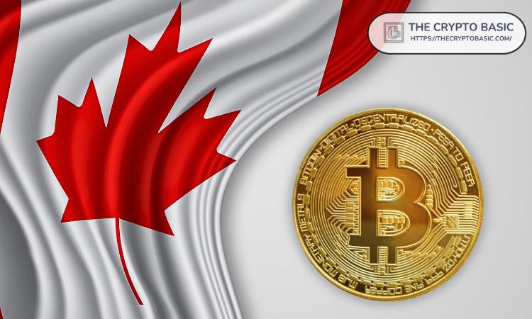 加拿大税务局将40%的加密货币用户标记为潜在的逃税者