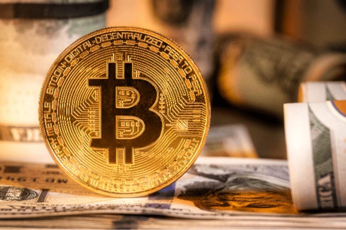 278,367,375,343 SHIB：Coinbase 巨鲸在持有 Shiba Inu Coin 一个月后退出