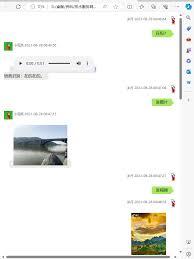 微信网页版传输文件入口在哪