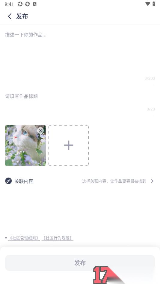 恩雅音乐手机版设置发布图片作品的方法