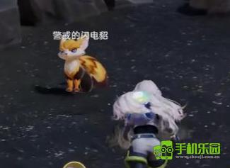 伊莫稀有伊莫怎么抓 伊莫稀有伊莫介绍