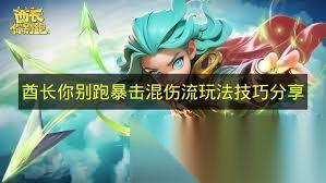 酋长你别跑暴击混伤流怎么玩
