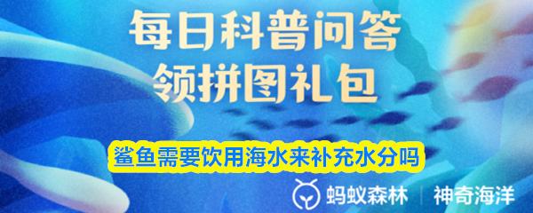 鲨鱼需要饮用海水来补充水分吗
